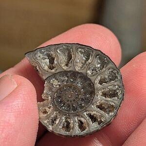 Stunning Druzy Ammonia Ammolite Specimen Gemstone Crystal Pendant Loose Gemstone